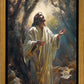 Jesus Prays in the Garden of Gethsemane