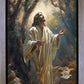 Jesus Prays in the Garden of Gethsemane