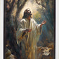 Jesus Prays in the Garden of Gethsemane