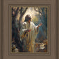 Jesus Prays in the Garden of Gethsemane