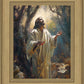 Jesus Prays in the Garden of Gethsemane