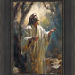 Jesus Prays in the Garden of Gethsemane