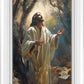 Jesus Prays in the Garden of Gethsemane