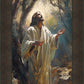 Jesus Prays in the Garden of Gethsemane