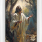 Jesus Prays in the Garden of Gethsemane