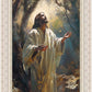 Jesus Prays in the Garden of Gethsemane