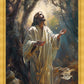 Jesus Prays in the Garden of Gethsemane