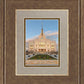 Saratoga Springs Eternal