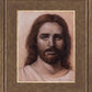 Savior and Friend