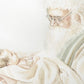 The Gift
