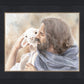 Jesus and the Lamb