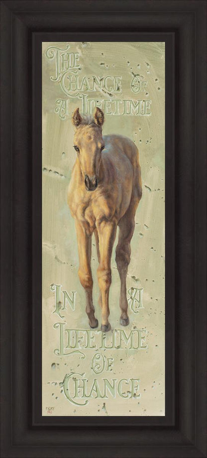 The Chance of a Lifetime