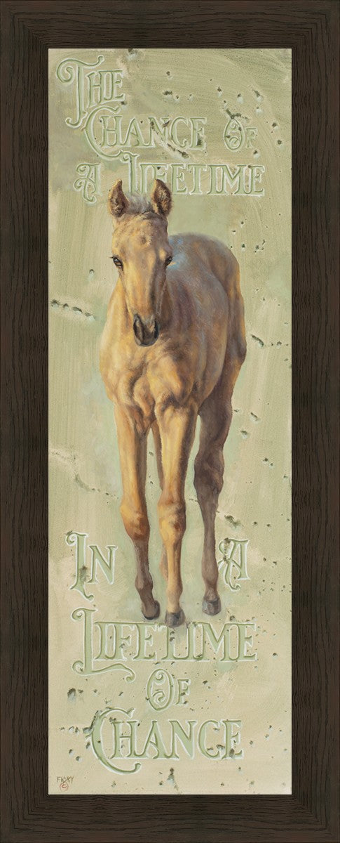 The Chance of a Lifetime