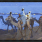 Wiseman's Journey