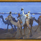 Wiseman's Journey