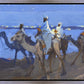 Wiseman's Journey