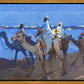Wiseman's Journey