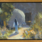 The Garden's Witness