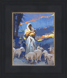 The Caring Shepherd