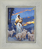 The Caring Shepherd