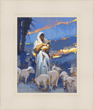 The Caring Shepherd