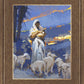The Caring Shepherd