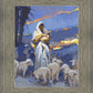 The Caring Shepherd