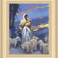 The Caring Shepherd