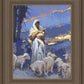 The Caring Shepherd