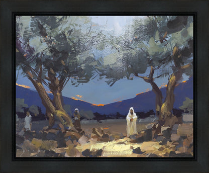 Stepping into Gethsemane Gallery Wrap