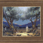 Stepping into Gethsemane