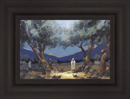 Stepping into Gethsemane