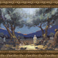 Stepping into Gethsemane
