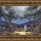 Stepping into Gethsemane