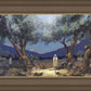 Stepping into Gethsemane