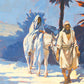 Awaited Arrival