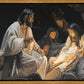 Nativity's Light