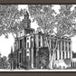St. George Utah Temple Summer