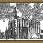 St. George Utah Temple Summer
