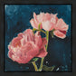 Peony Cheer