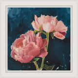 Peony Cheer