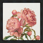 Peony Memories