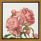 Peony Memories