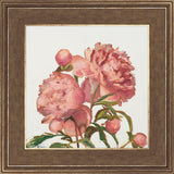 Peony Memories