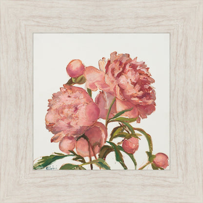 Peony Memories