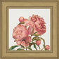 Peony Memories