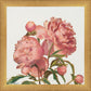 Peony Memories