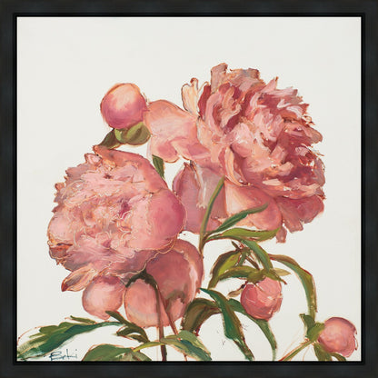 Peony Memories