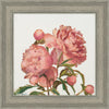 Peony Memories