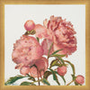 Peony Memories